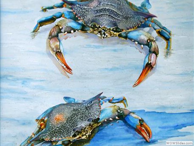 Blue Crabs