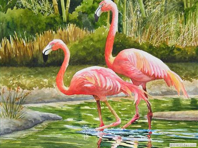 Flamingo Pond