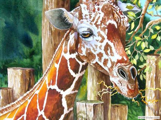 Giraffe
