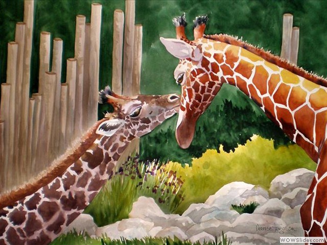 Giraffes