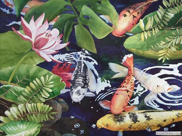 Kois in Pond