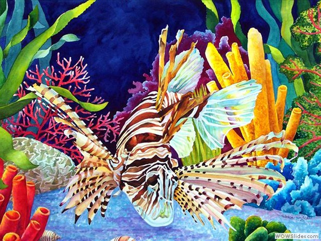 Lion Fish