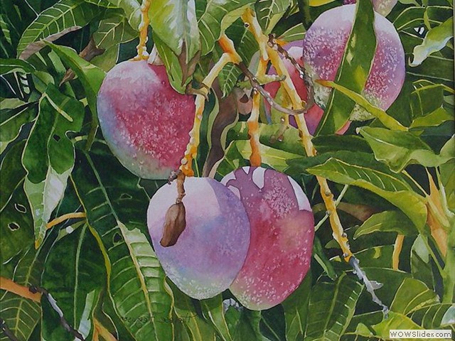 Florida Mangos